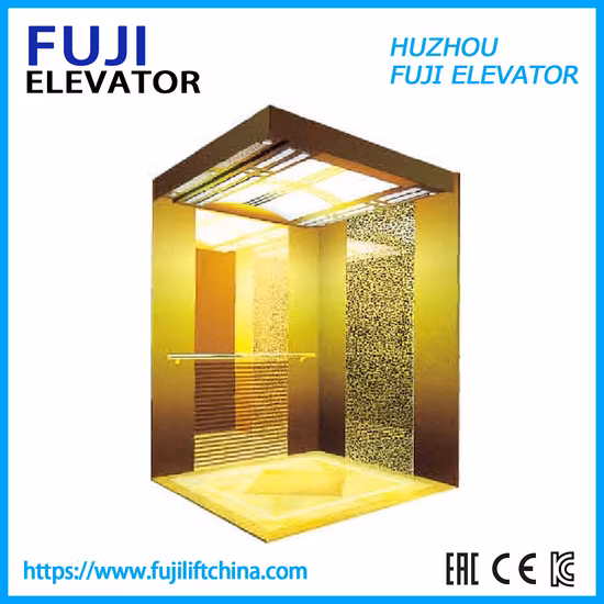 Espelho Gravando S.S Elevador Golden Home Panorâmico Elevador de Passageiros para Venda no Melhor Preço